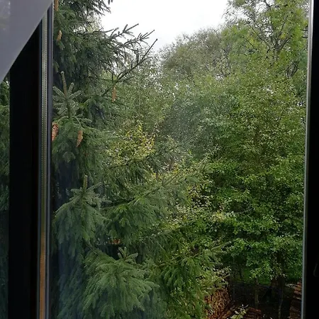 Chata Prasily Prasily